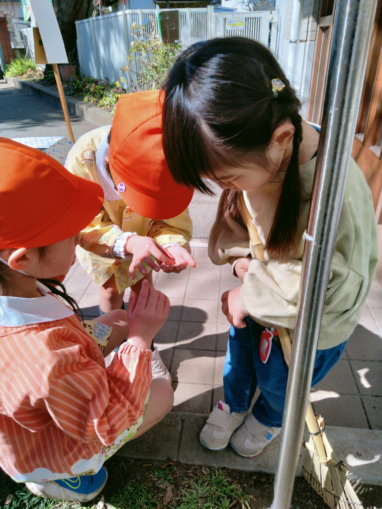 IMG20230228111403