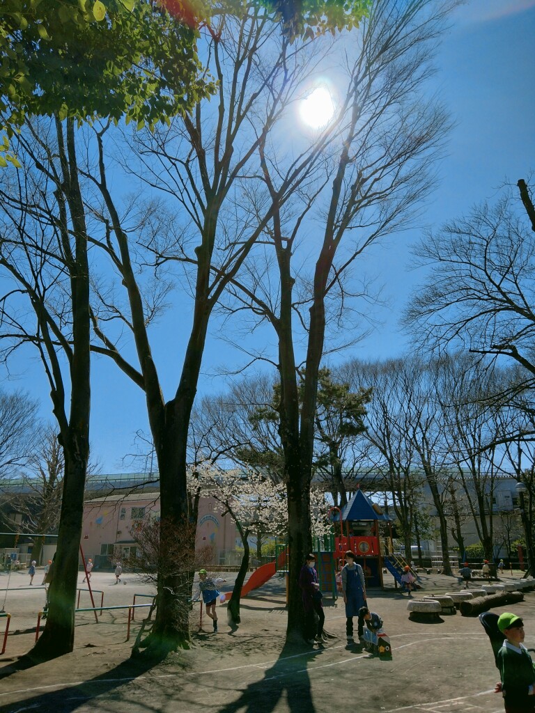 IMG20230228111647