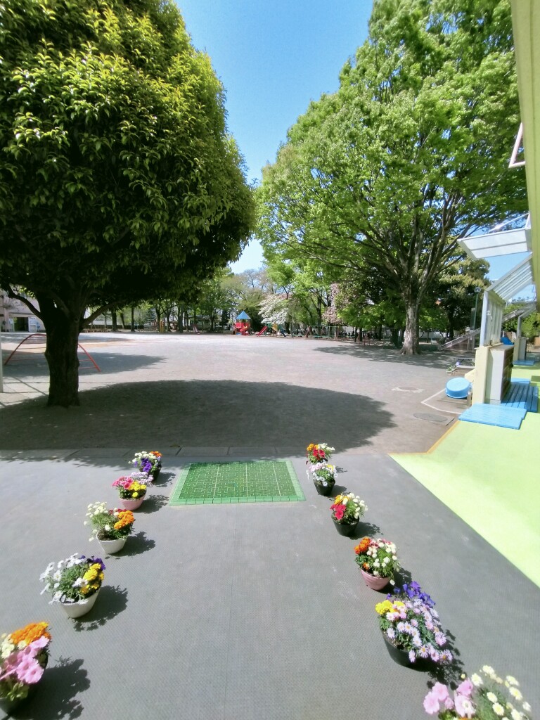 IMG20230411102751