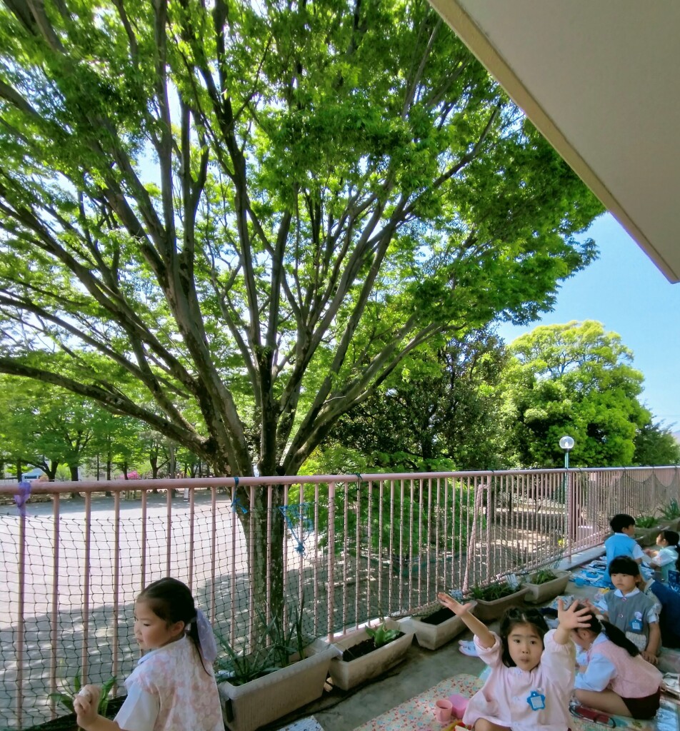 IMG20230421121524