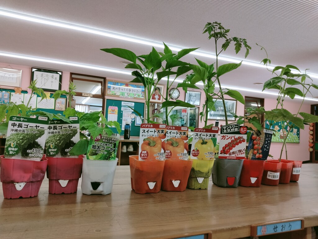 IMG20230509104728