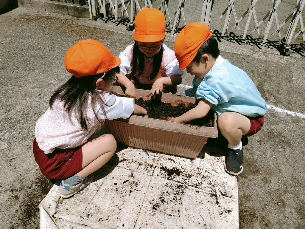 IMG20230509111816