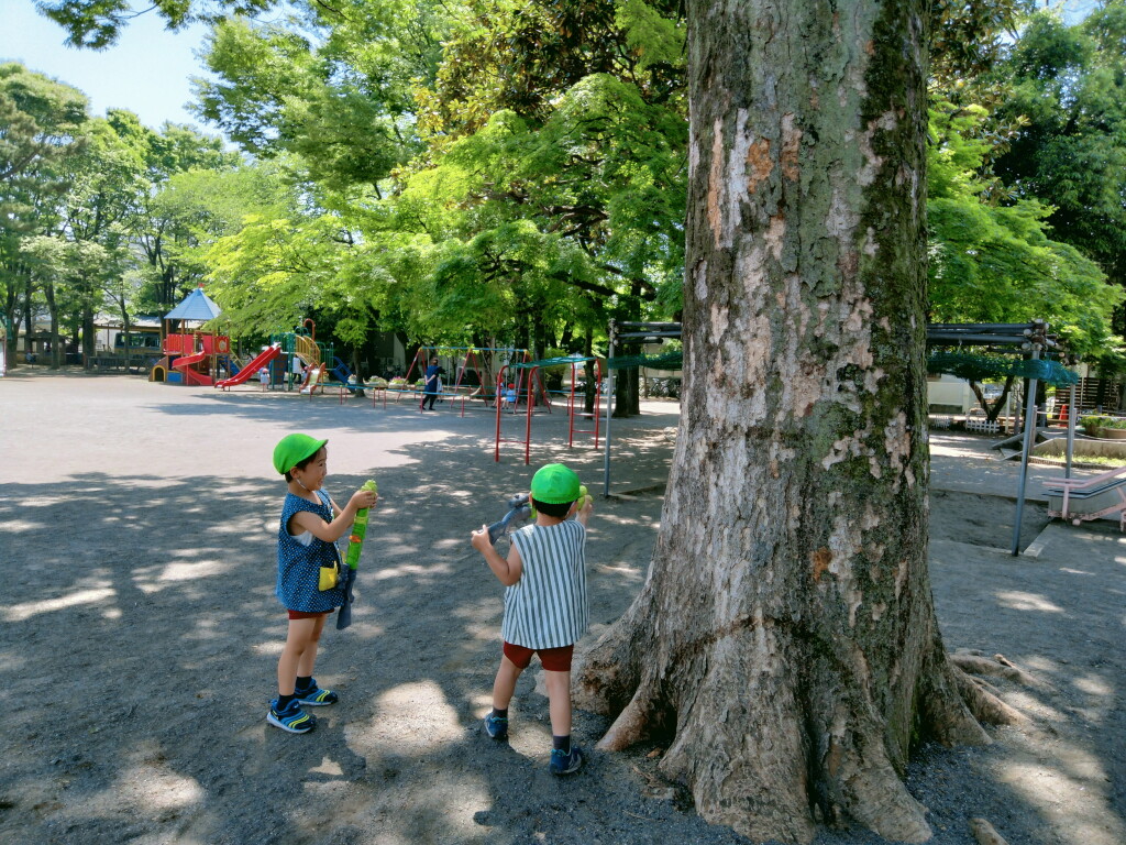 IMG20230518131954