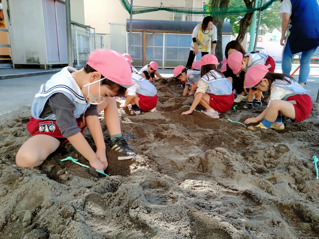 IMG20231027105528