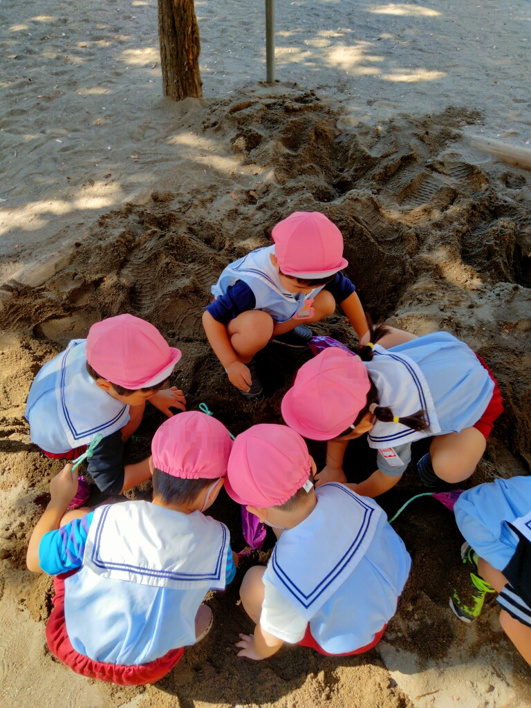 IMG20231027105932