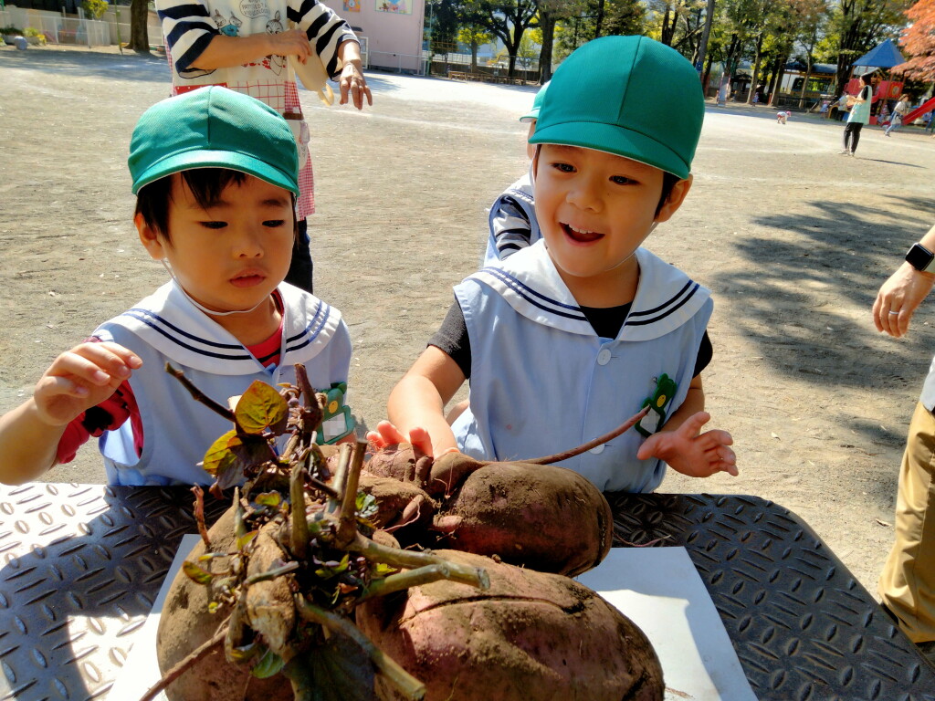 IMG20231027111032
