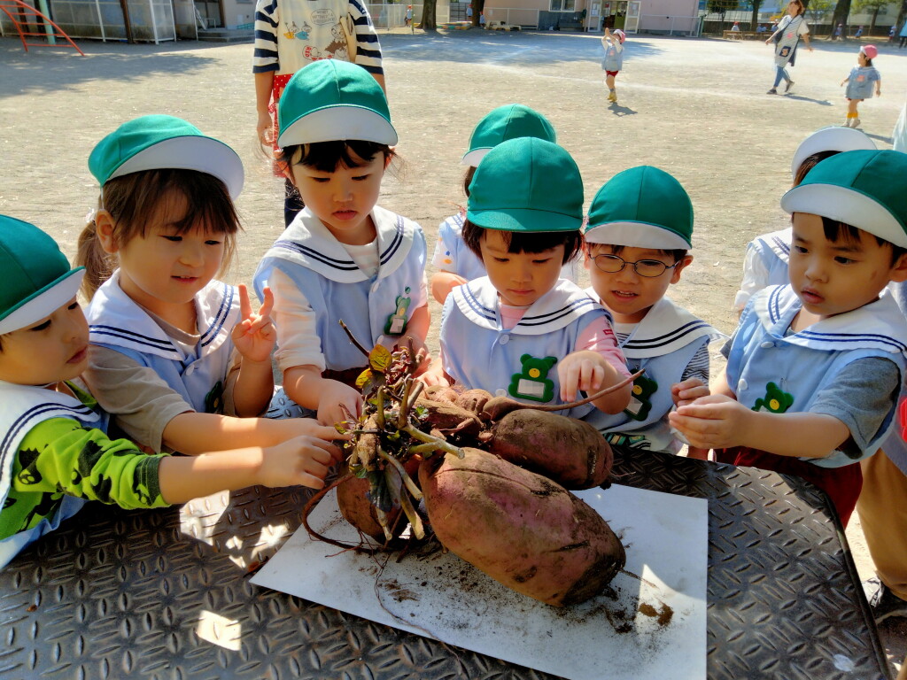 IMG20231027111117
