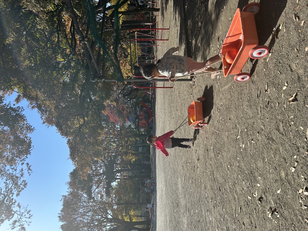 プレ保育 (13)