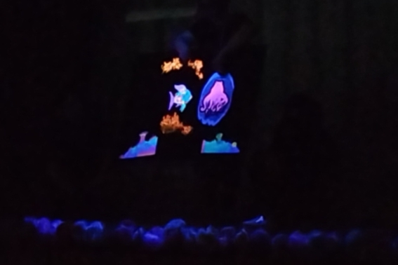 2 (2)
