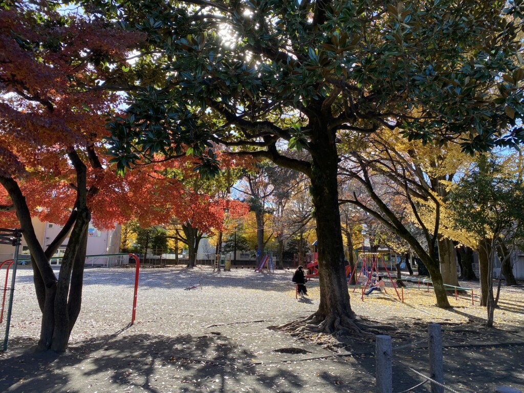 S__101236759