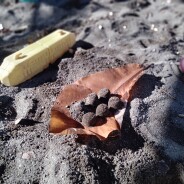 12月のわくわくひろば
