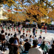 運動会(年中・年長)