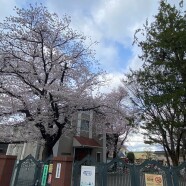 春休みの園庭